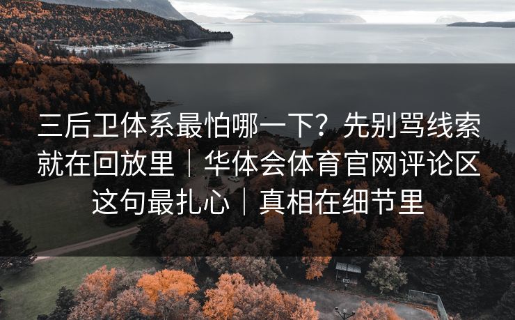 三后卫体系最怕哪一下？先别骂线索就在回放里｜华体会体育官网评论区这句最扎心｜真相在细节里