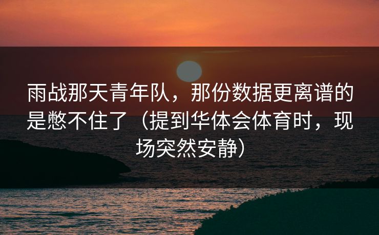 雨战那天青年队，那份数据更离谱的是憋不住了（提到华体会体育时，现场突然安静）