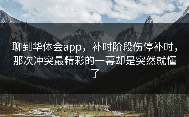 聊到华体会app，补时阶段伤停补时，那次冲突最精彩的一幕却是突然就懂了